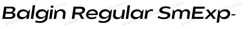 Balgin Regular SmExp字体转换